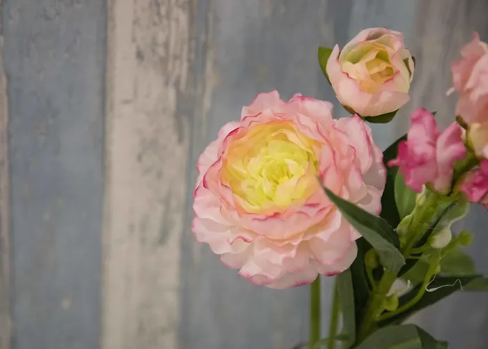 فندق مبيت وإفطار Di Giorgi تْشيفالو