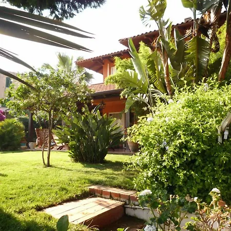 Di Giorgi