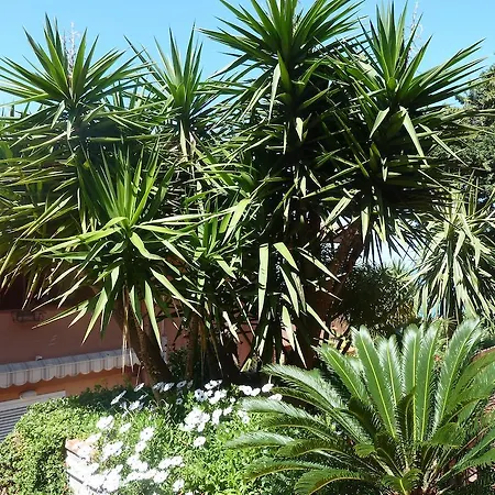 吉奥吉别墅住宿加早餐酒店